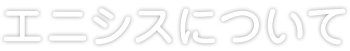 エニシスについて 